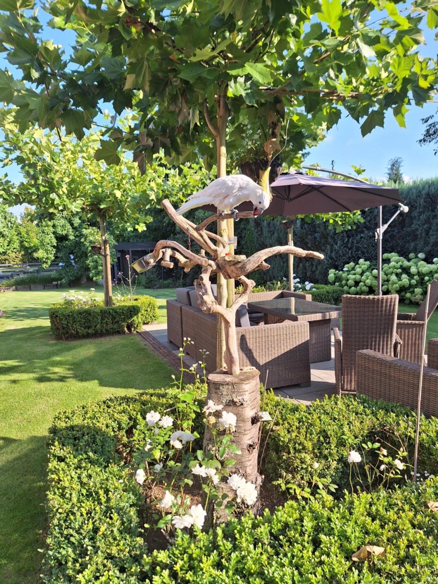 B&B De Raamberg Zundert Exterior foto